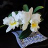 Rth. Shinfong White Charm 'White Rose' 2.5'' УЦЕНКА