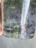 АРОМАТНАЯ Bahamas (Мультифлора) серия Little Kolibri (2 цветоноса; Ø 9 см)