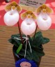 Paph. micranthum var. eburneum × sib 2.5''