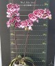 Phal. Miki Lord 2.5" УЦЕНКА 15%