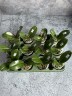 Phal. I-Hsin Yellow Leopard 2.5'' УЦЕНКА (механическое повреждение листиков)
