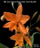 Rth. Love Passion 'Orange Bird' AM CCM/AOS 2.5"