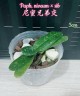 Paph. niveum × sib 2.5''