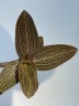 Ludisia Ruby / Драгоценная орхидея (Ø 7 см)