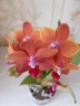 Phal. Pingtung Bronze Age 2.5'' УЦЕНКА