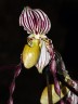 Paph. philippinense × sib 2.5''