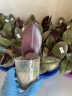 Phal. Pinlong Cheris 2.5" УЦЕНКА (нет нижн. лист.)
